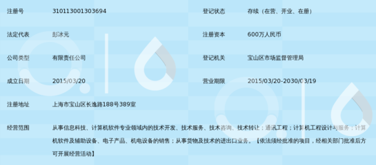 磐翼信息科技（上海） 专业信息咨询服务，助力企业决策与创新